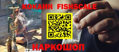 гидра Гатчина