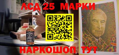 гидра Гатчина