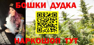 гидра Гатчина