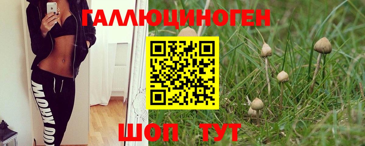 продажа наркотиков  Вход с VPN  Можайск  Псилоцибиновые грибы MAGIC MUSHROOMS  Псилоцибиновые грибы мухоморы 